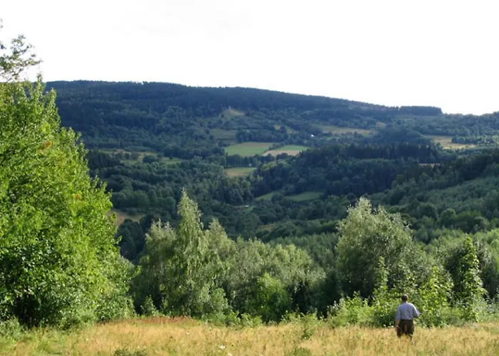 Agrowczasy Gory Bystrzyckie Apartment *