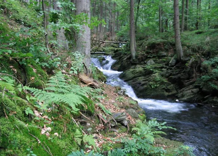 Agrowczasy Góry Bystrzyckie Apartament